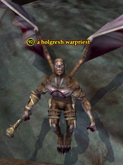 A holgresh warpriest