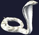 Desert Cobra Plushie