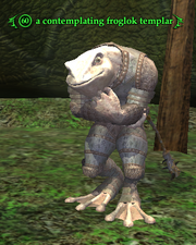 A contemplating froglok templar