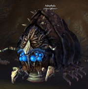 Adephala