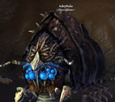 Adephala