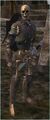 Diseased Servant (Apprentice).jpg