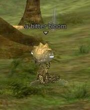 A bitter bloom