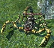 A hunting razorclaw