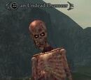 An Undead Overseer