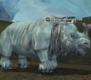 A brontotherium calf