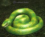 A plains lurker