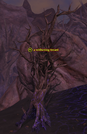 A withering treant