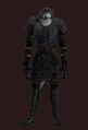 Animist's Citadel (Armor Set) (Visible, Male).jpg