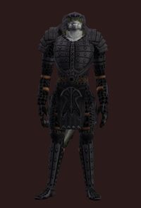 Animist's Citadel (Armor Set) (Visible, Male)