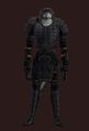 Animist's Citadel (Armor Set) (Visible, Male).jpg