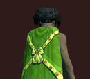 Brilliant Bristlebane Day Cloak