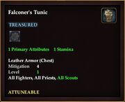 Falconer's Tunic