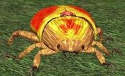 Race klicnik