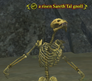 A risen Sareth'Tal gnoll