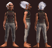 Woven reinforced tunic (Equipped)