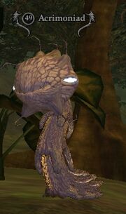 Acrimoniad