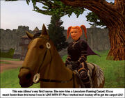 AlinnasHorse