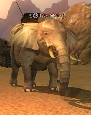 Lady Tubbles