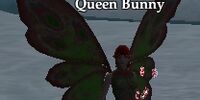 Queen Bunny