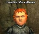 Treedin Merrythorn