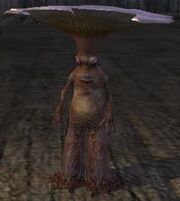 Zygomyd plushie (Visible)