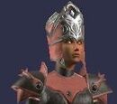 Blackcoat (Armor Set)