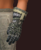 Naturewalker's Leather Gloves of the Forestspeaker (Equipped)