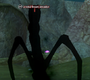 A void beast invader (solo)