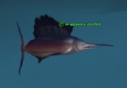 An aggressive saberfish