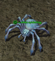 A white spiderling