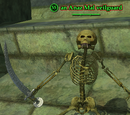 An Anaz Mal veilguard (Solo)