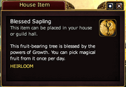 Blessed Sapling
