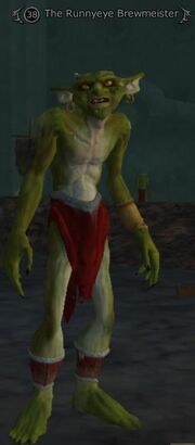 The Runnyeye Brewmeister