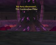 The Carnivourous Pillar