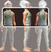 Vagabond's Chain Tunic (Equipped)