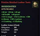Pristine Bristled Leather Tunic