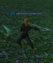 A brownie protector
