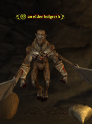 An elder holgresh