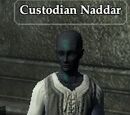 Custodian Naddar