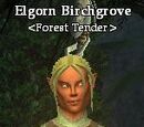 Elgorn Birchgrove