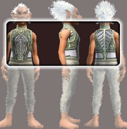 Naturewalker's Tunic (Equipped)