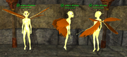 Fairy (Wizard) Placed