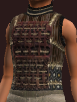 Ravens of the North negotiator shirt (Equipped)