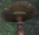 The Mushroom King