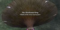 The Mushroom King