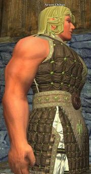 Arven Oshus