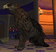 Race sphinx