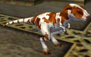 Speckled Baby Bovoch
