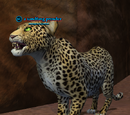 A sandfang prowler (solo)